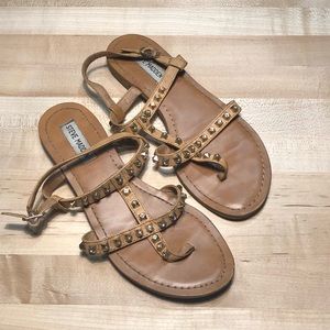 Steve Madden Sabela Gladiator Flat Sandal